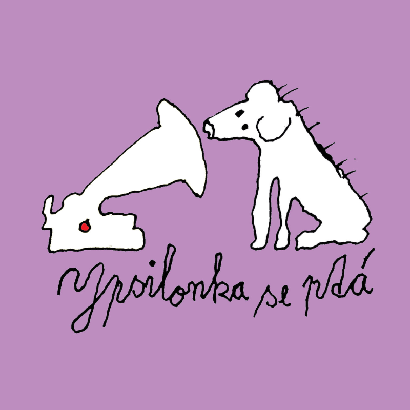 Obrázek epizody Ypsilonka se ptá: Tentokrát Sylvia Spohra