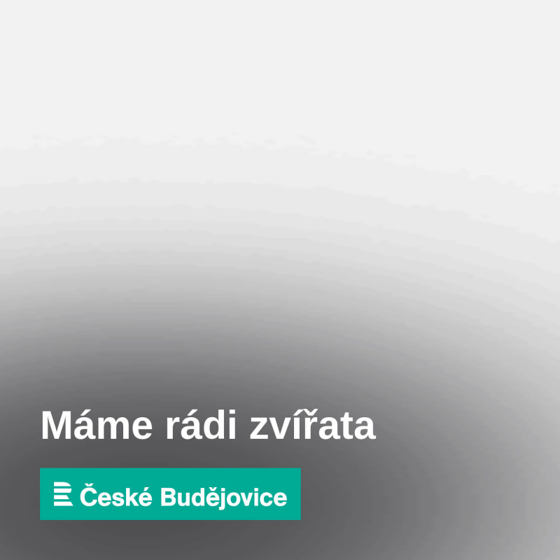 Obrázek epizody Kdo byl rybníkář Josef Šust a jaký je los evropský