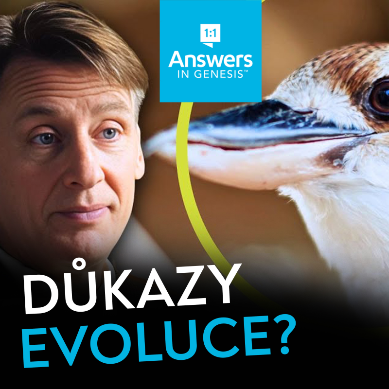 Obrázek epizody Důkazy evoluce? | Stvořitel nebo evoluce?