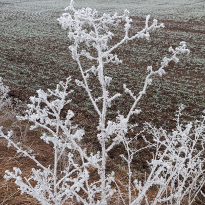 Obrázek epizody Pětka z pochyb