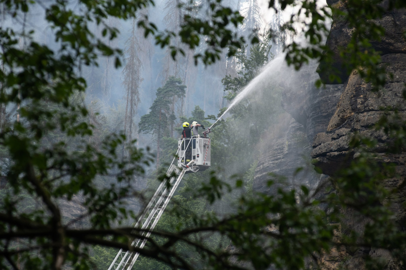 Obrázek epizody Les se po požáru obnoví sám, větší problém je klimatická krize