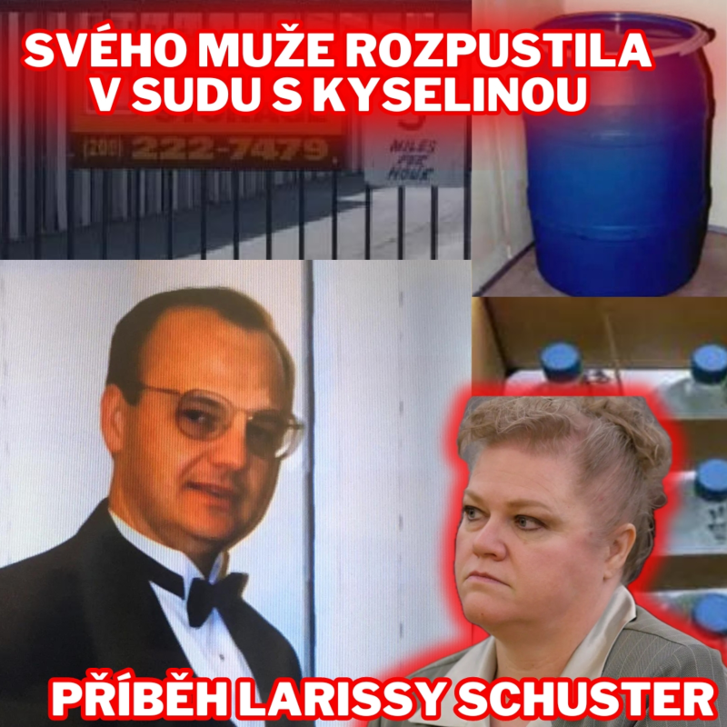 Obrázek epizody SVÉHO MUŽE ROZPUSTILA V SUDU S KYSELINOU - PŘÍBĚH LARISSY SCHUSTER