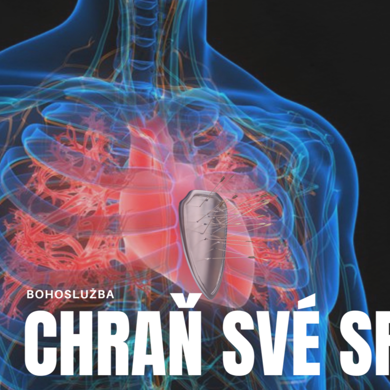 Obrázek epizody Chraň své srdce - Rudolf Vrba