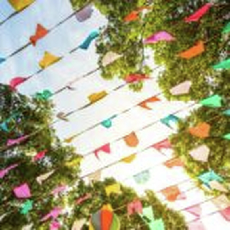 Obrázek epizody HOROSKOPY: Panny, chcete-li uspět, vězte, že vaše myšlenky musí být v souladu s činy