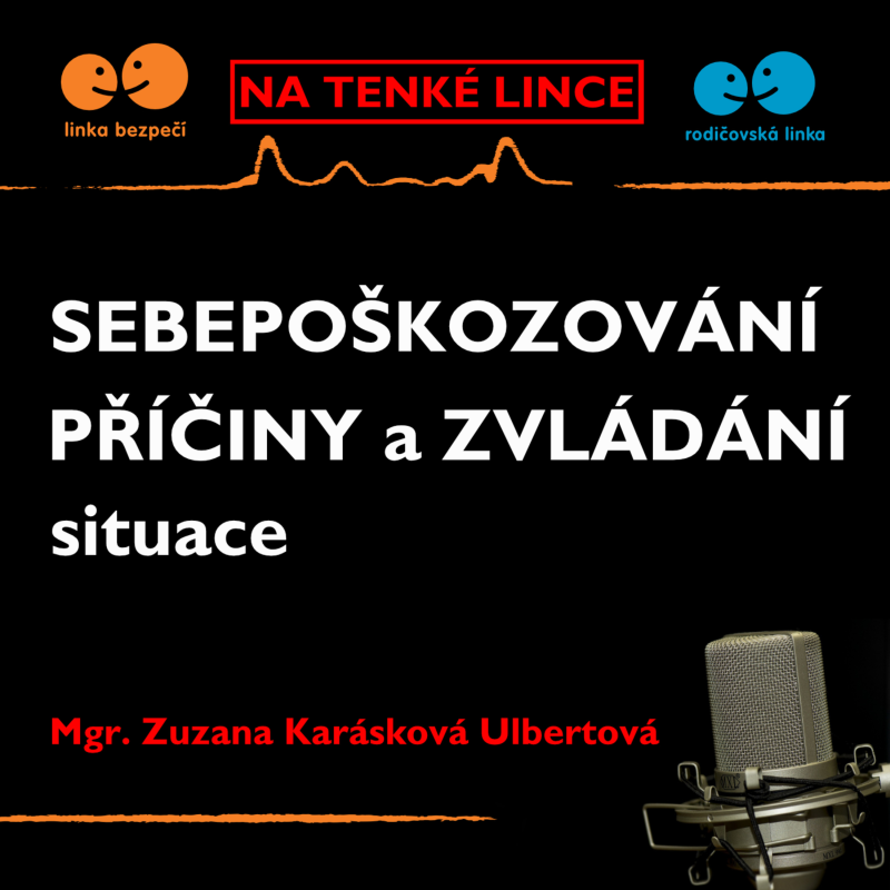 Obrázek epizody Sebepoškozování II. - příčiny a zvládání situace