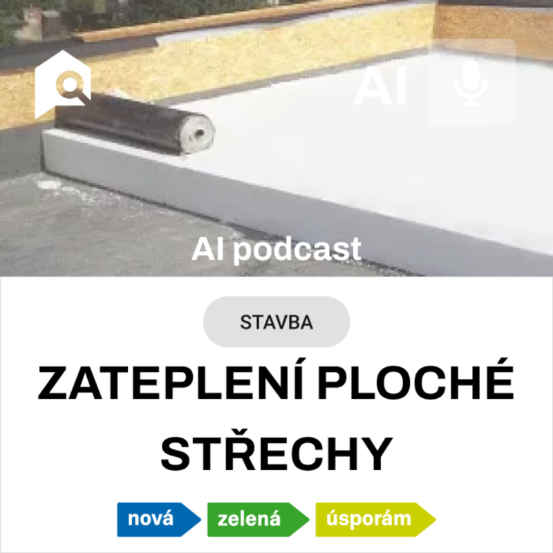 Obrázek epizody #48 AI souhrn - zateplení ploché střechy s dotací