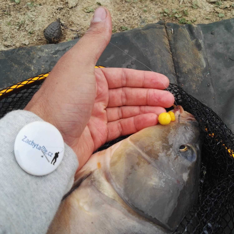 Obrázek epizody Pomůcky a nástroje k vyprošťování háčků z rybích úst