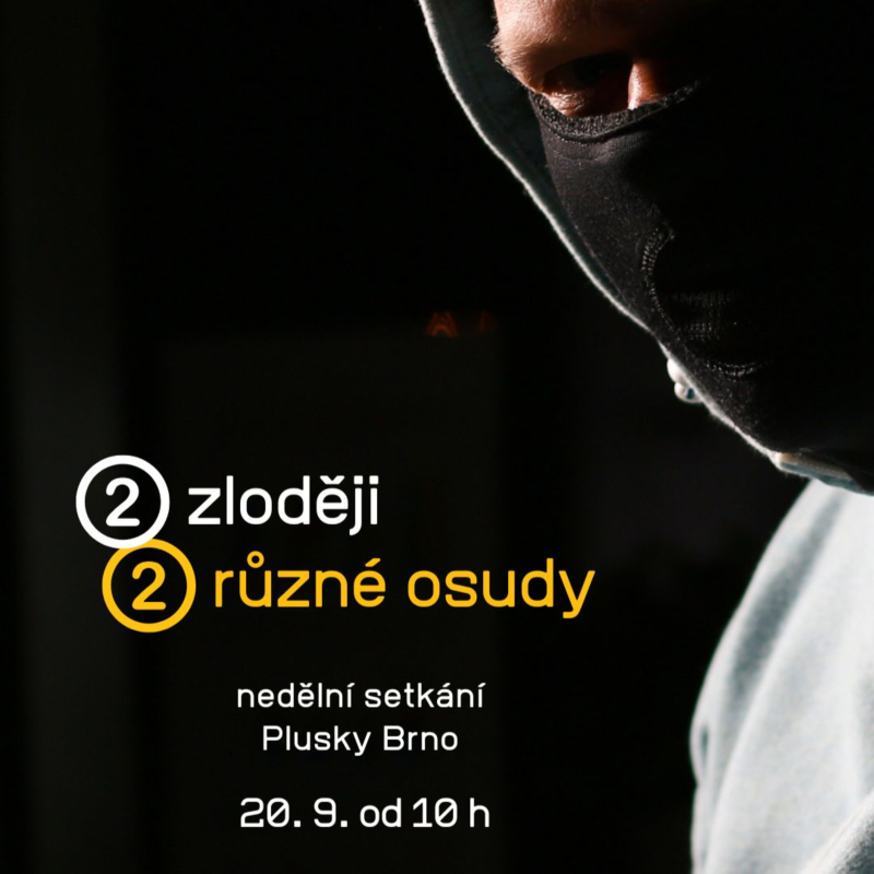 Obrázek epizody 2 zloději, 2 různé osudy