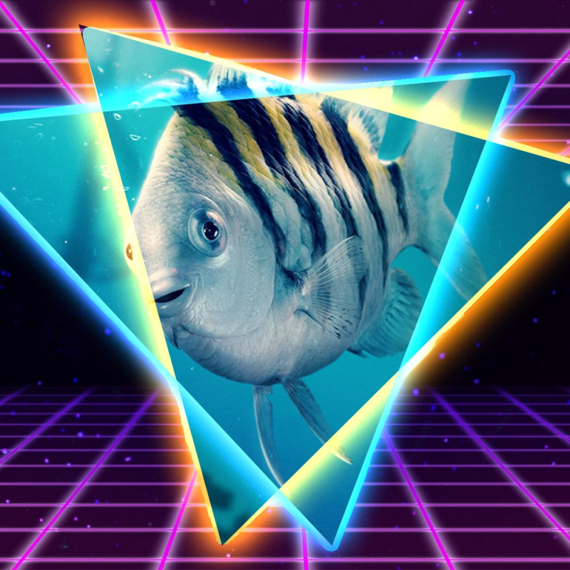 Obrázek epizody Disney, můžeš sakra přestat? Český sci-fi film. A pozor na kartičky, půjdete sedět!