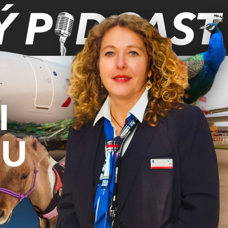 Obrázek epizody 25 let na letišti v Chicagu - Edita Singer, Gate agent