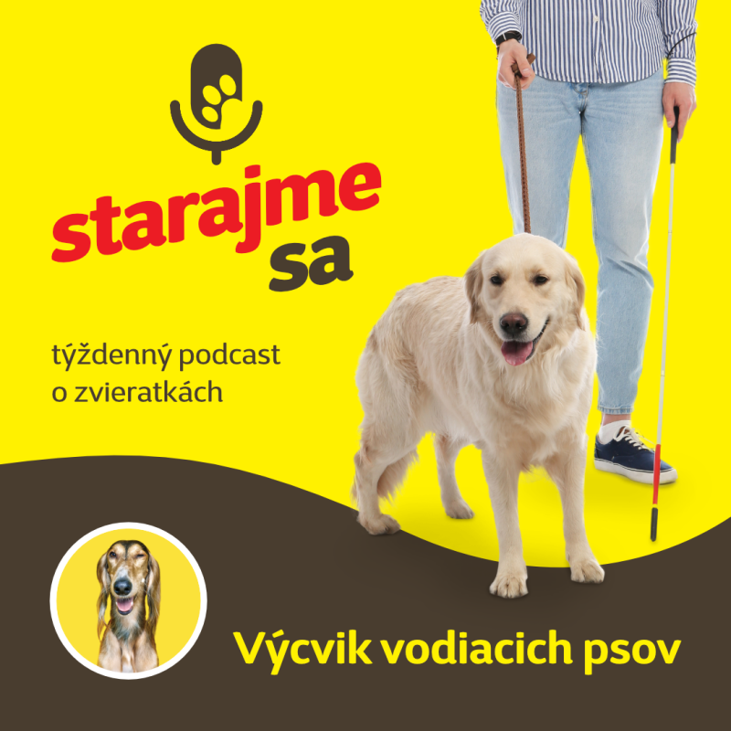 Obrázek epizody Psy: Výcvik vodiacich psov