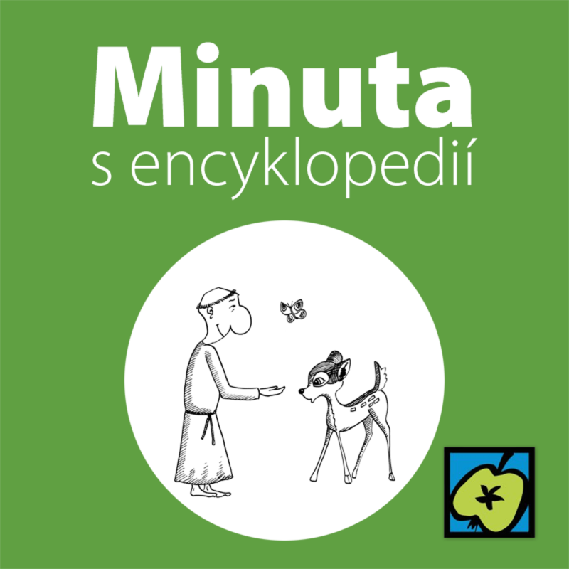 Obrázek epizody Svatý František z Assisi