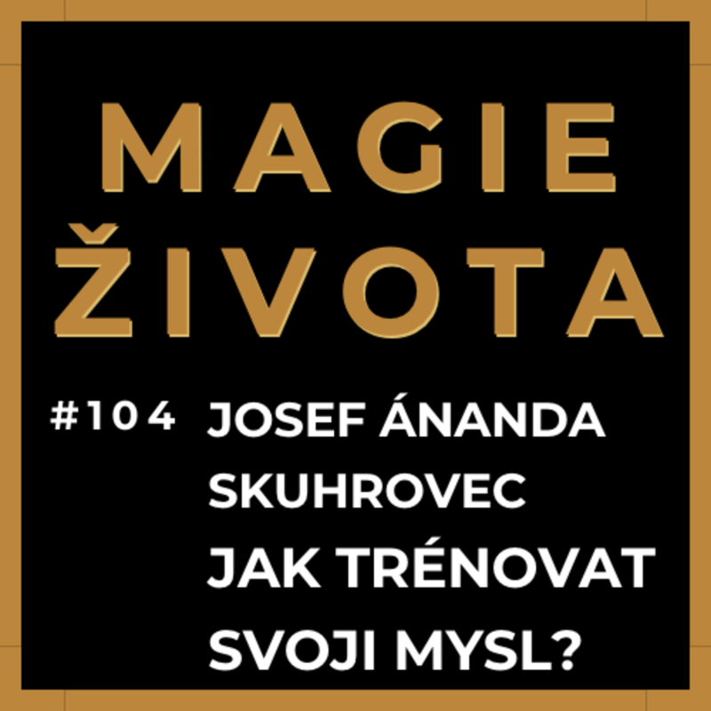 Obrázek epizody #104 - JAK TRÉNOVAT SVOJI MYSL A POZNÁVAT SÁM SEBE | MEDITACE | VĚDOMÍ A EGO | JÓGA