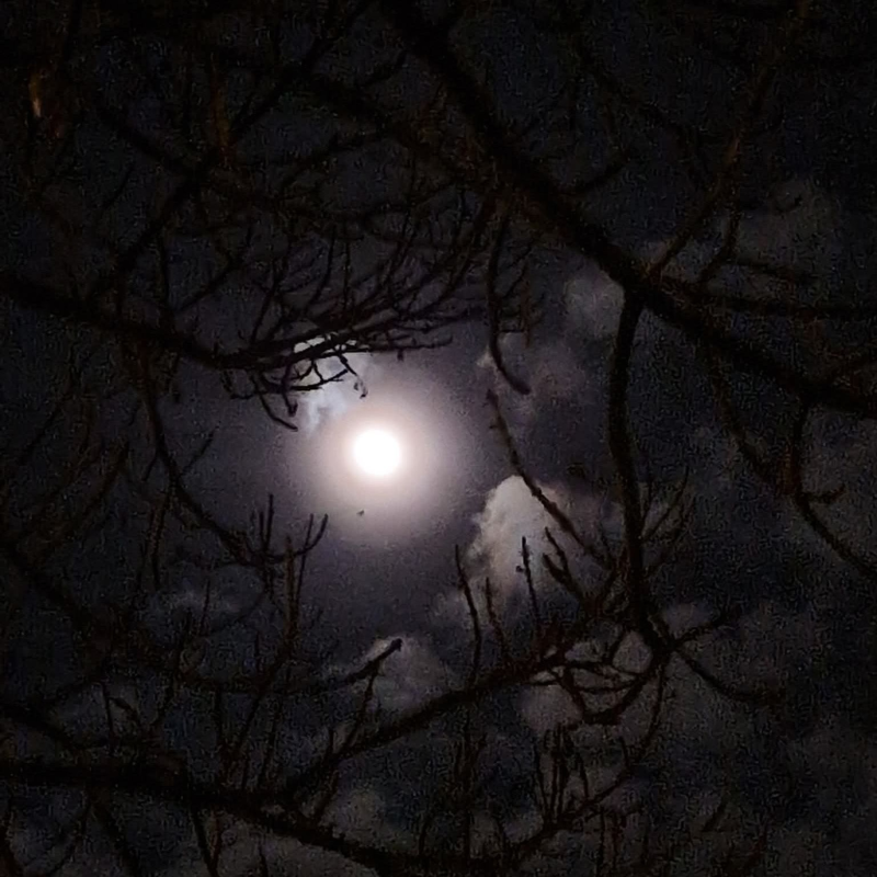 Obrázek epizody Vstaňte, nebojte se! (2. postní neděle, Skalná)