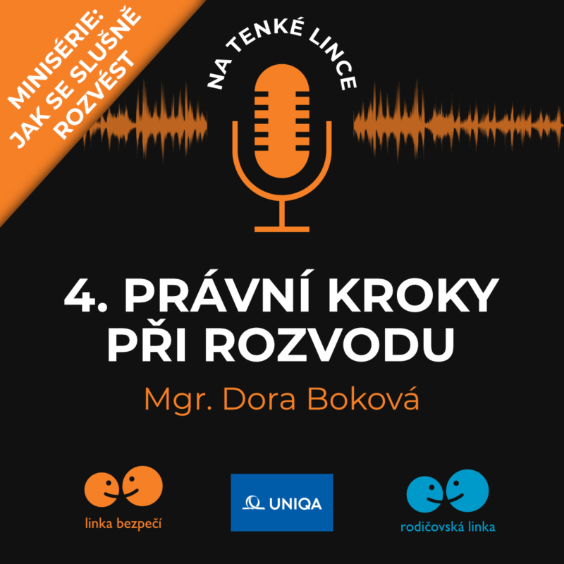 Obrázek epizody 4. Právní kroky při rozvodu