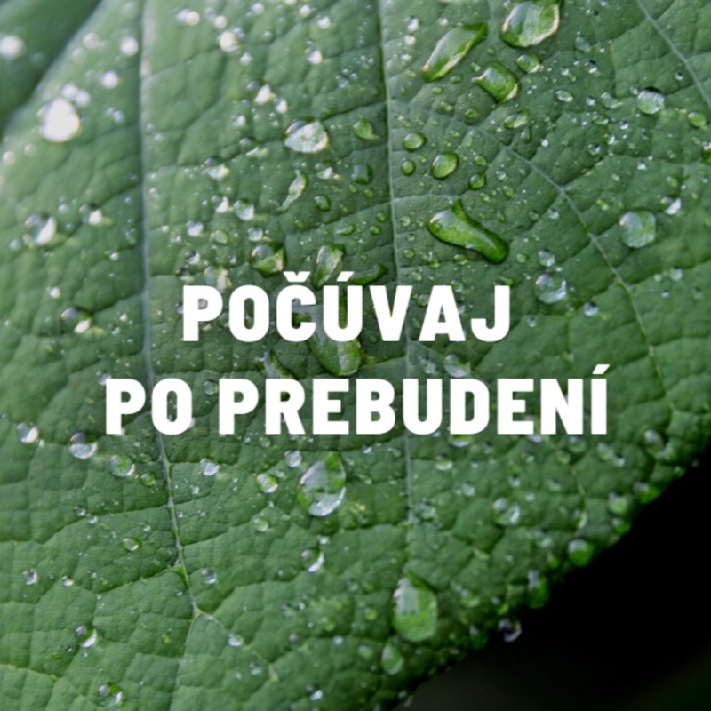 Obrázek epizody Stop zlozvykom mysle | Ranné nastavenie myslenia