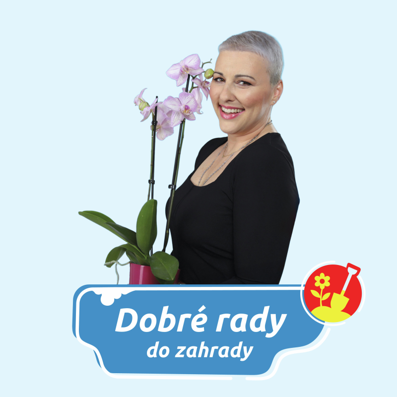 Obrázek epizody DOBRÉ RADY DO ZAHRADY NA RÁDIU BLANÍK - Rekuperace