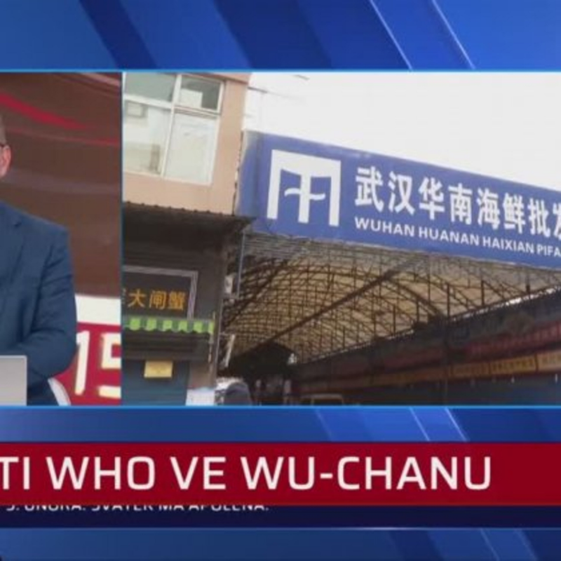 Obrázek epizody Závěry vyšetřování WHO v Číně