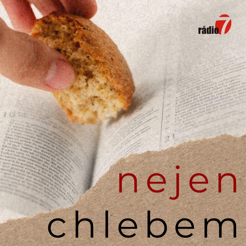 Obrázek epizody Nejen chlebem: V Boží náruči (31/52): Péče o ovce