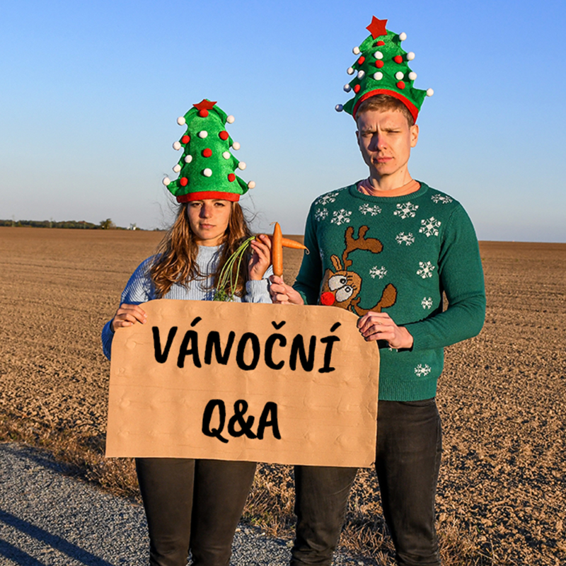 Obrázek epizody #21 VÁNOČNÍ Q&A - doplňky, hormony a sportovní výživa