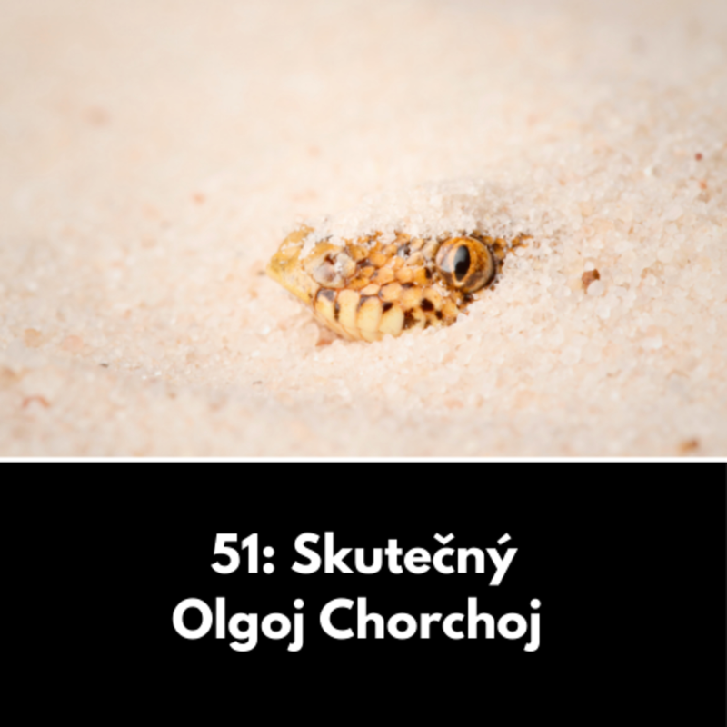 Obrázek epizody 51: Skutečný Olgoj Chorchoj