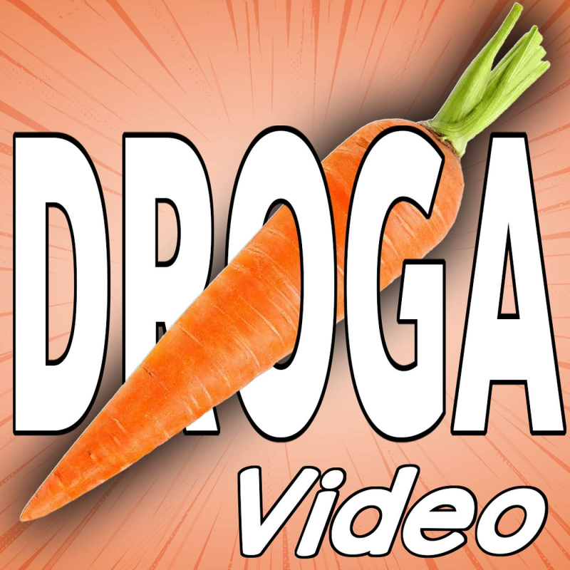 Obrázek epizody Trip report 🥕