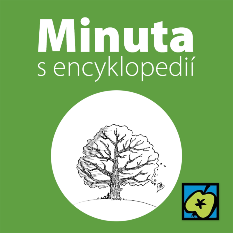 Obrázek epizody Lípa