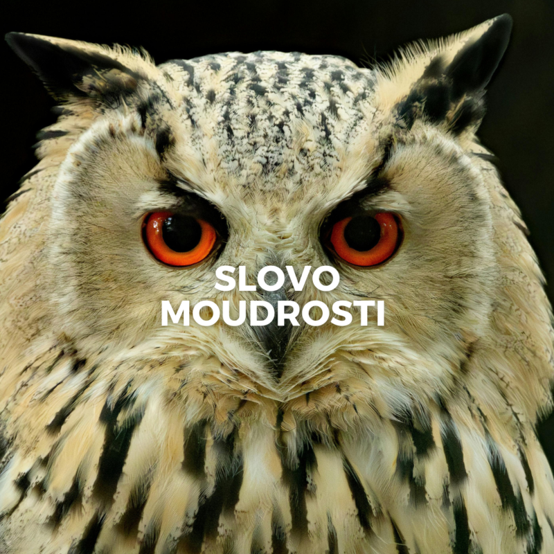 Obrázek epizody DARY DUCHA SVATÉHO | SLOVO MOUDROSTI