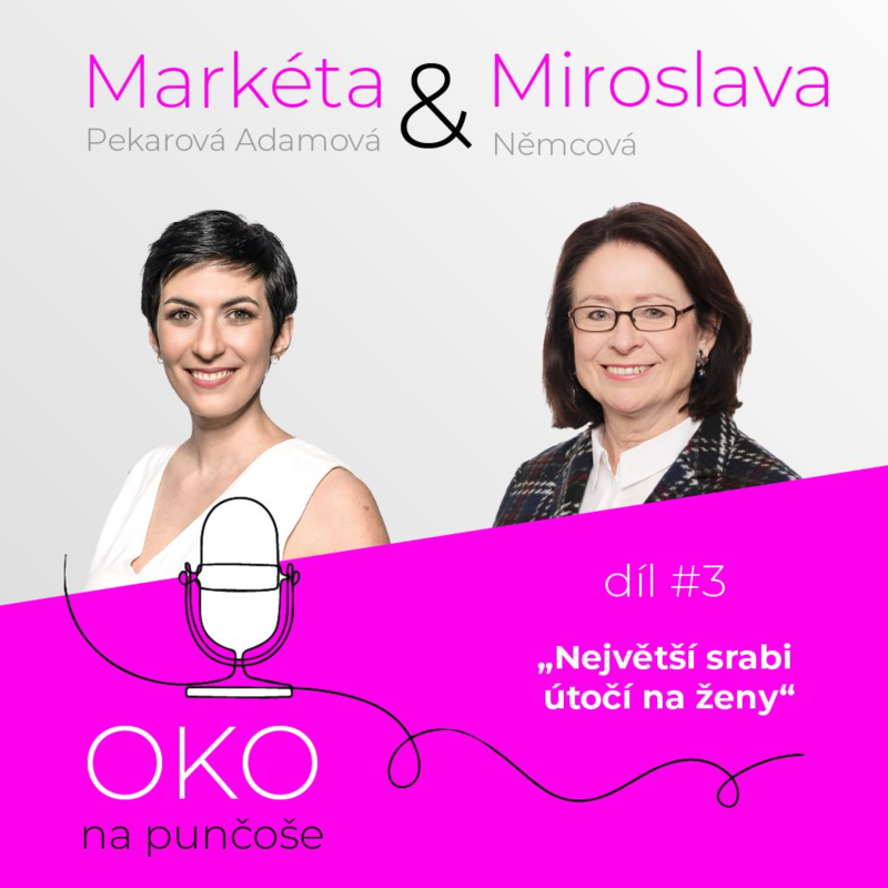 Obrázek epizody Oko na punčoše #3: Největší srabi útočí na ženy političky, říká Miroslava Němcová