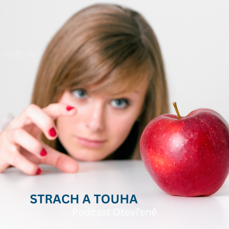 Obrázek epizody #30 - O strachu a touze