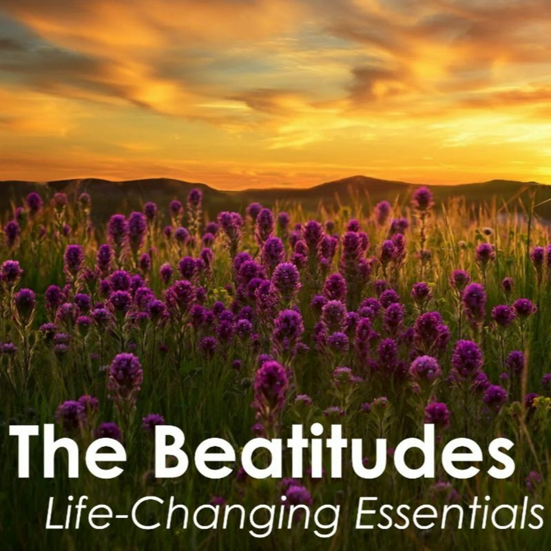 Obrázek epizody Proměňující blahoslavenství (4. mezidobí Cheb)