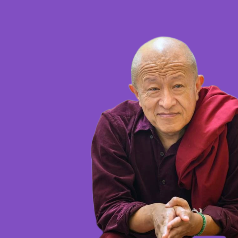 Obrázek epizody Co když je učení o absolutní pravdě jen dalším konceptem? (část 2) - Dzongsar Khyentse Rinpočhe