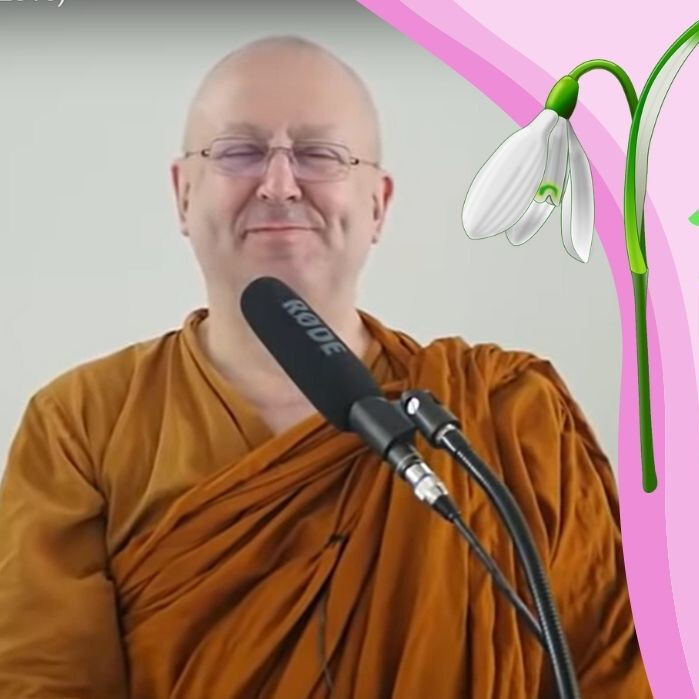 Obrázek epizody Jarní meditace🧘(k nezaplacení) | Ajahn Brahm | 21.11.2015