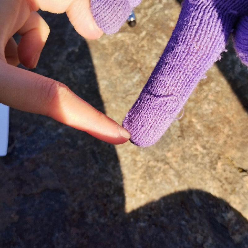 Obrázek epizody Plán: let do vesmíru- Zvířecí parta