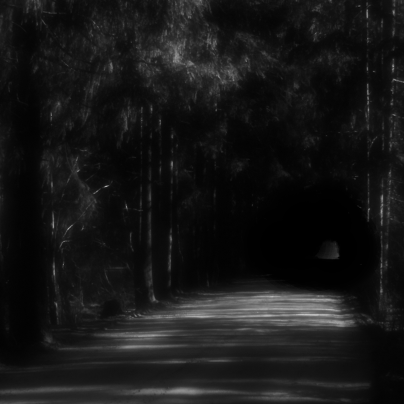 Obrázek epizody 11 mil (zkrácená verze)