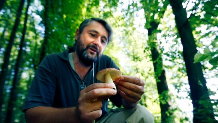 Obrázek epizody Libor Tmej: Houby teď hledejte hlavně v listnatých lesích v nížinách!