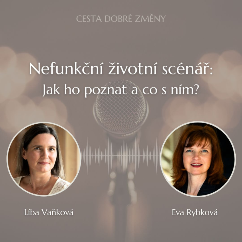 Obrázek epizody Jak na růstové nastavení mysli - Eva Rybková a Líba Vaňková