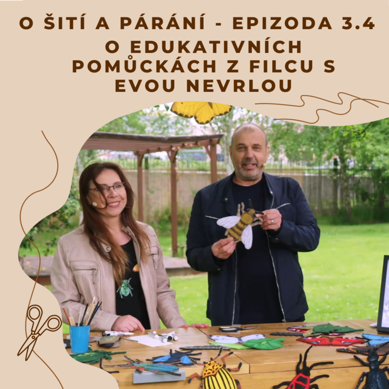 Obrázek epizody Epizoda 3.4 - O edukativních pomůckách z filcu s Evou Nevrlou