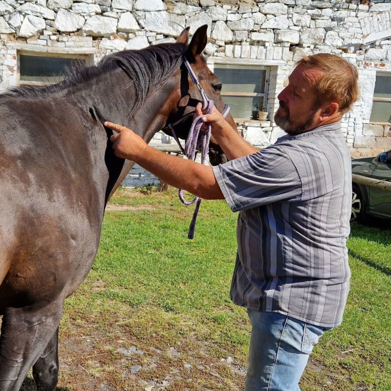 Obrázek epizody Frau Štěpánka vypravuje - Příběh zachráněných koní v Mukařově