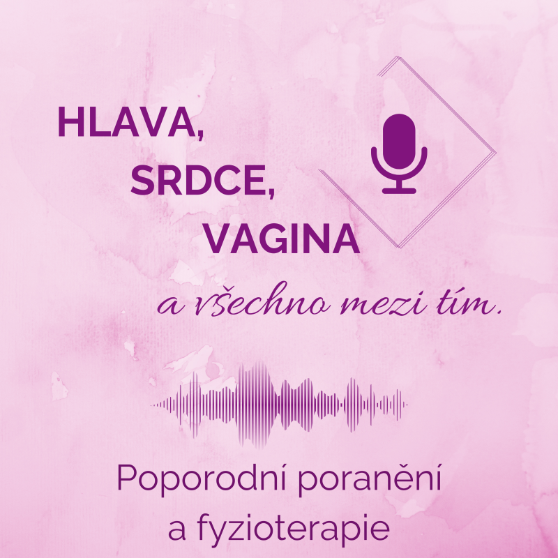 Obrázek epizody Poporodní poranění a fyzioterapie