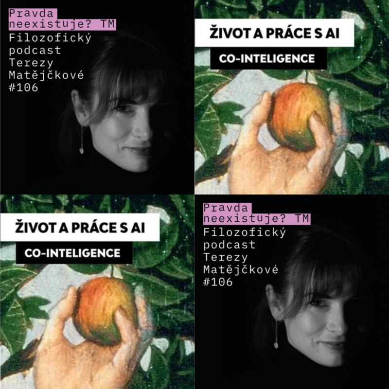 Obrázek epizody Když slova zlevní: univerzity čeká největší proměna od jejich vzniku