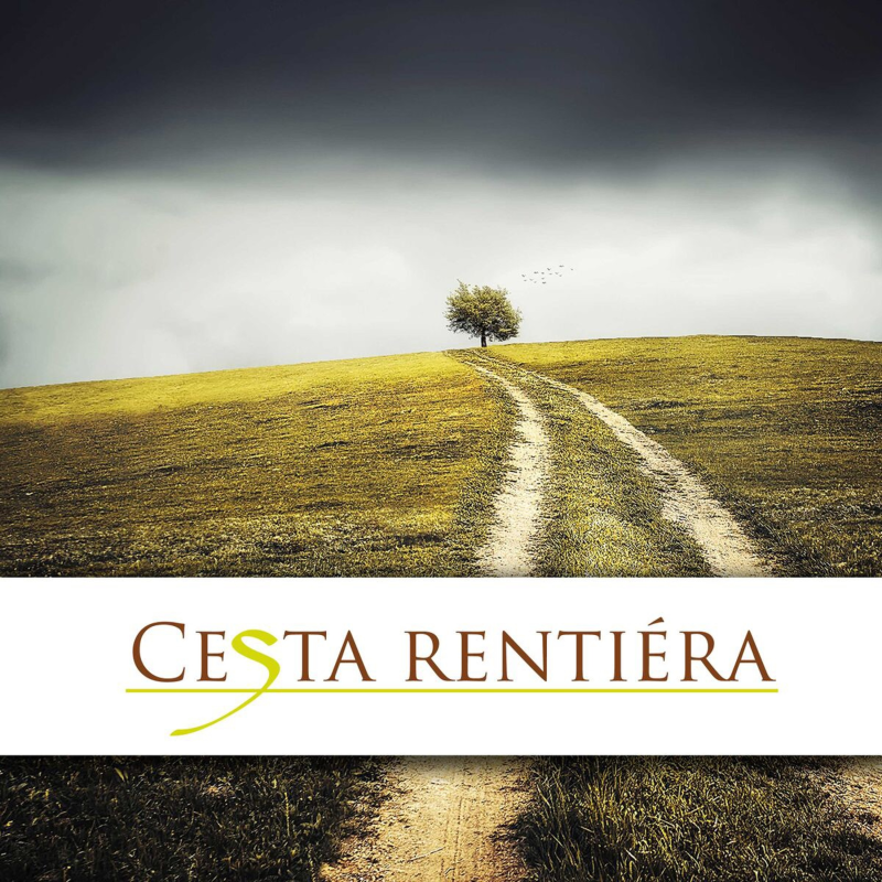 Obrázek epizody webinář: Jaký byl investiční rok 2017?  Co můžeme čekat v roce 2018?