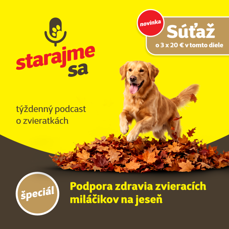 Obrázek epizody Špeciál: Podpora zdravia zvieracích miláčikov na jeseň