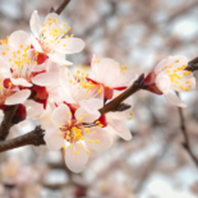 Obrázek epizody HOROSKOPY: Lvi, s novým dnem přicházejí nové myšlenky. Díky tomu konečně něco vyřešíte