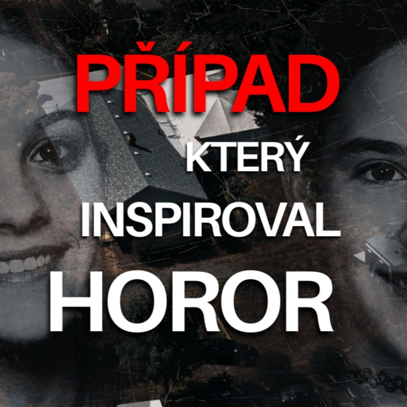 Obrázek epizody Případ, který inspiroval horor Megan Is Missing