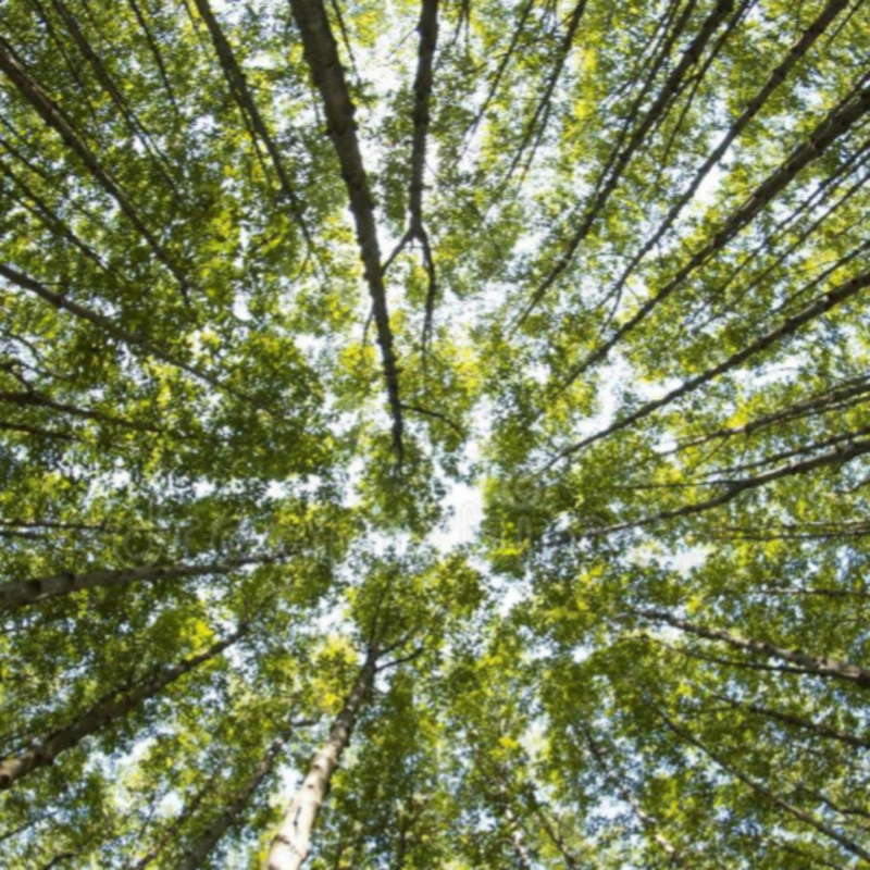 Obrázek epizody Jak to vidíš ty, Bože