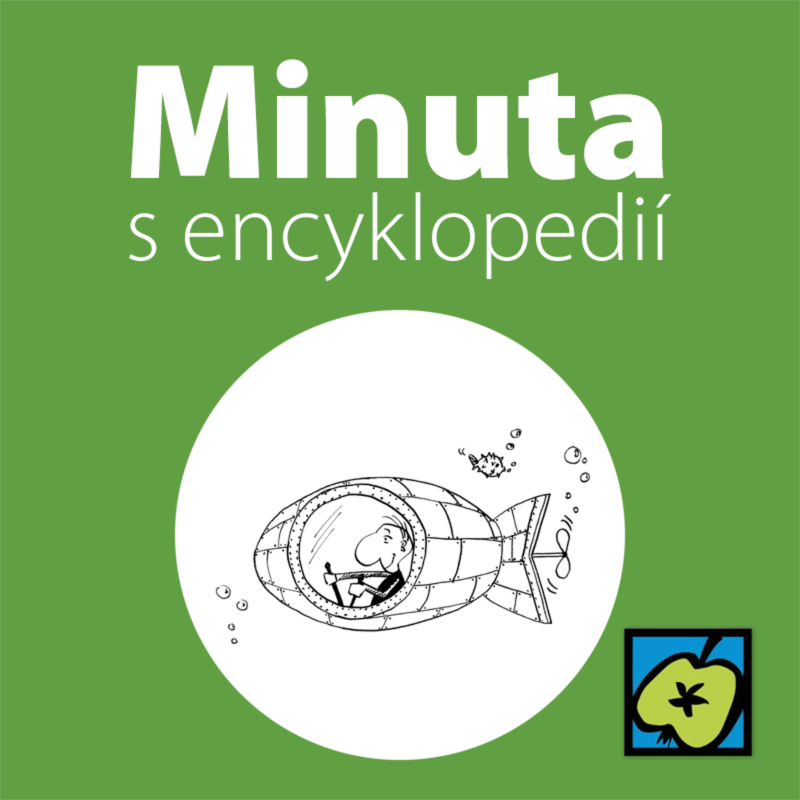 Obrázek epizody Ponorky