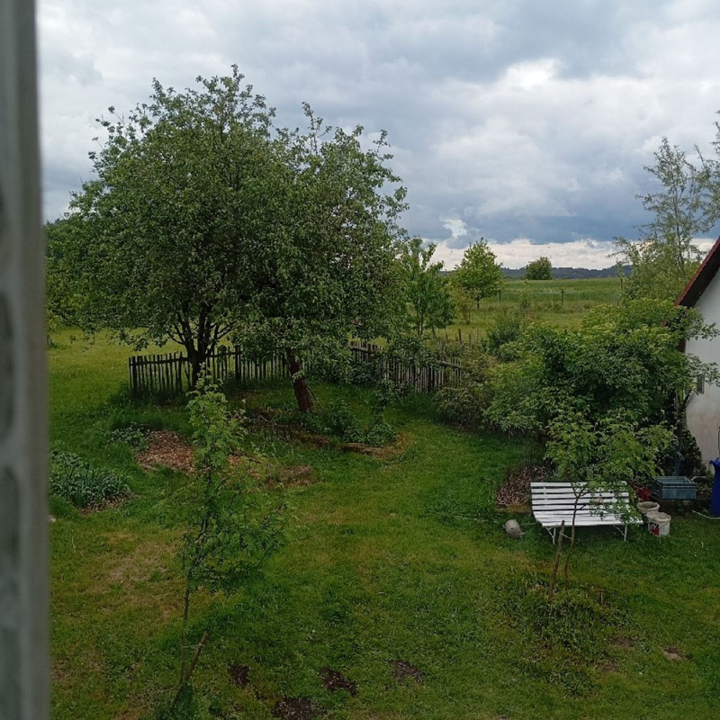 Obrázek epizody Dnešní a včerejší den