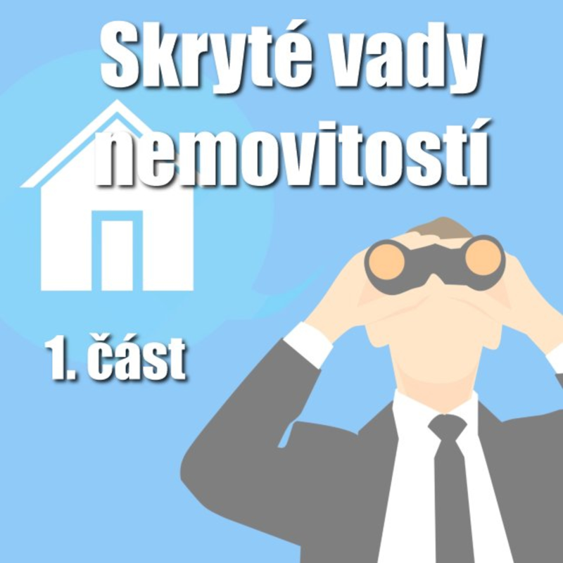 Obrázek epizody Blog 14 ... Skryté vady nemovitostí. Realitní příběhy s nedobrými konci. Jak se jim jako prodávající můžete vyhnout? ... 1. část