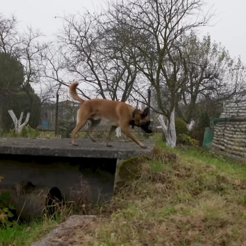 Obrázek epizody Krimi zprávy (1121)